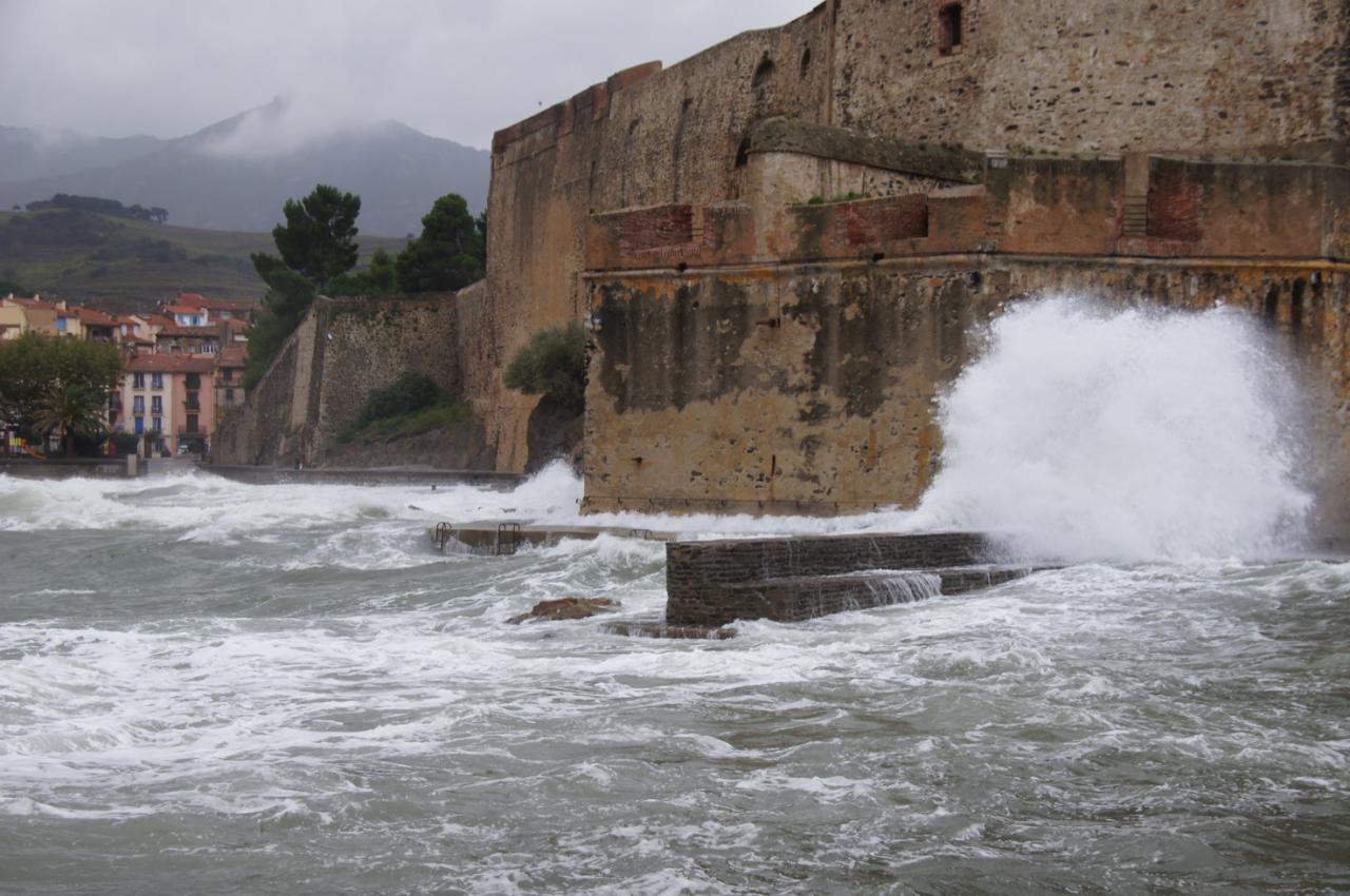 COLLIOURE 01102_