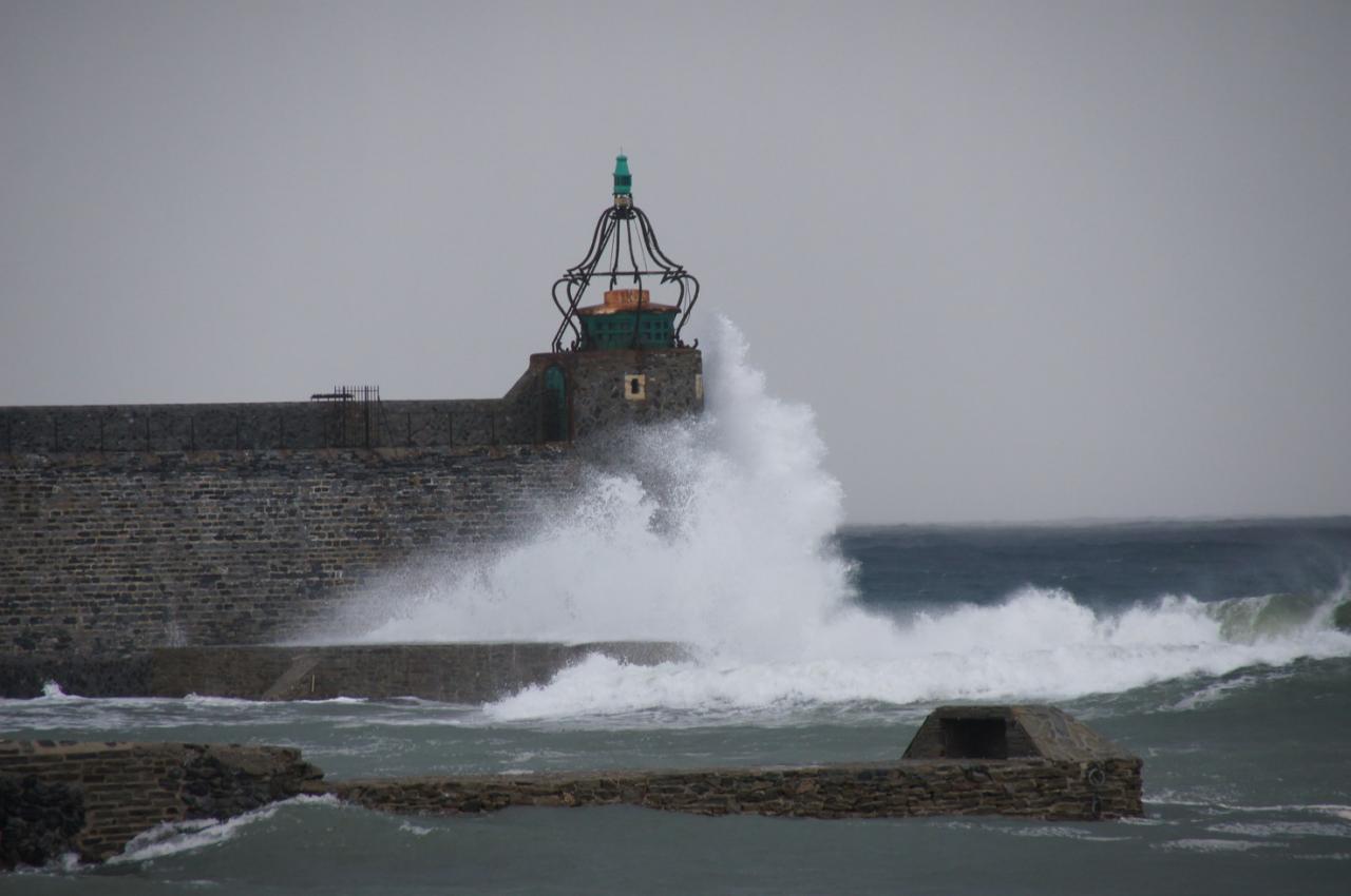 COLLIOURE 01122_