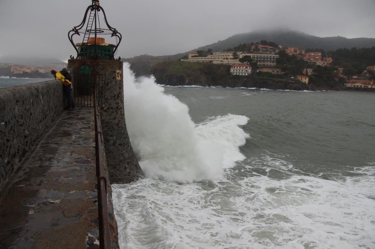 COLLIOURE 01242_