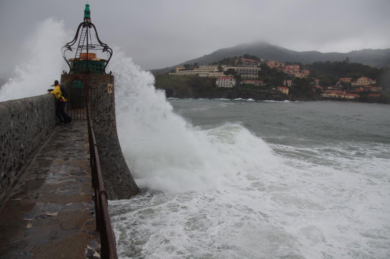 COLLIOURE 01244_