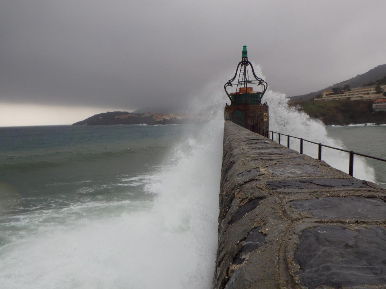 COLLIOURE 01258_