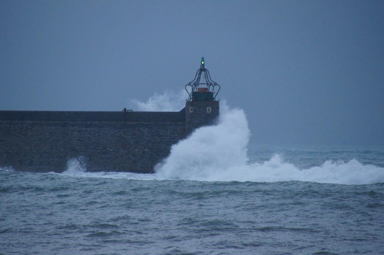 COLLIOURE 01466_