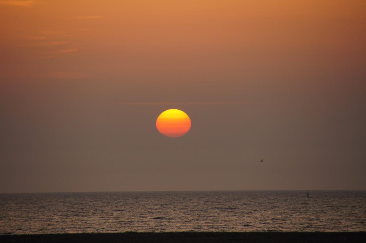 NORMANDIE (6)_